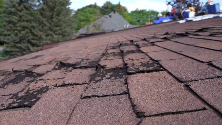 Best Hot Roofs  in Waynesburg, OH