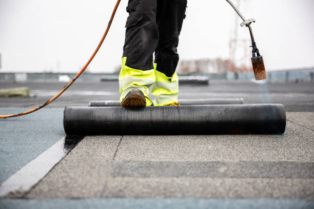 Best Asphalt Shingle Roofing  in Waynesburg, OH